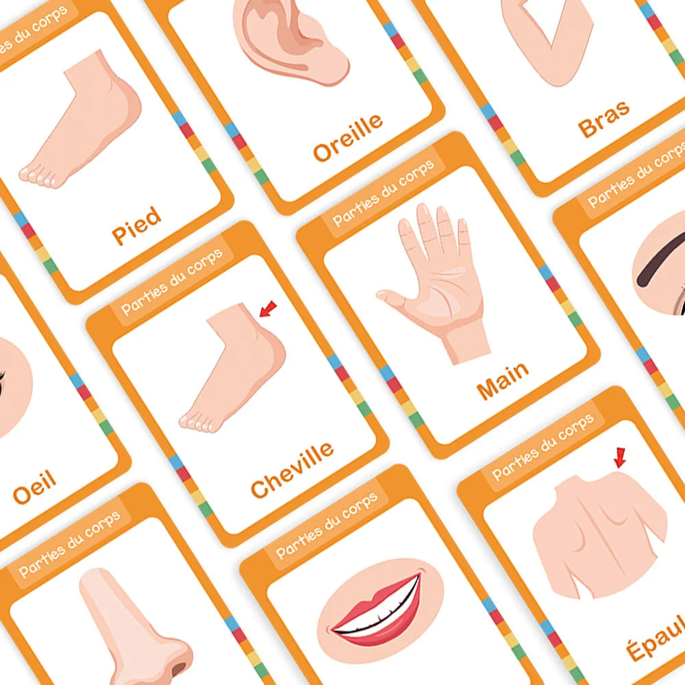 15Pcs Body Parts & Five Senses French Vocabulary Learning Cards for Kids Homeschool Double Side 28 Words Educational Flashcards