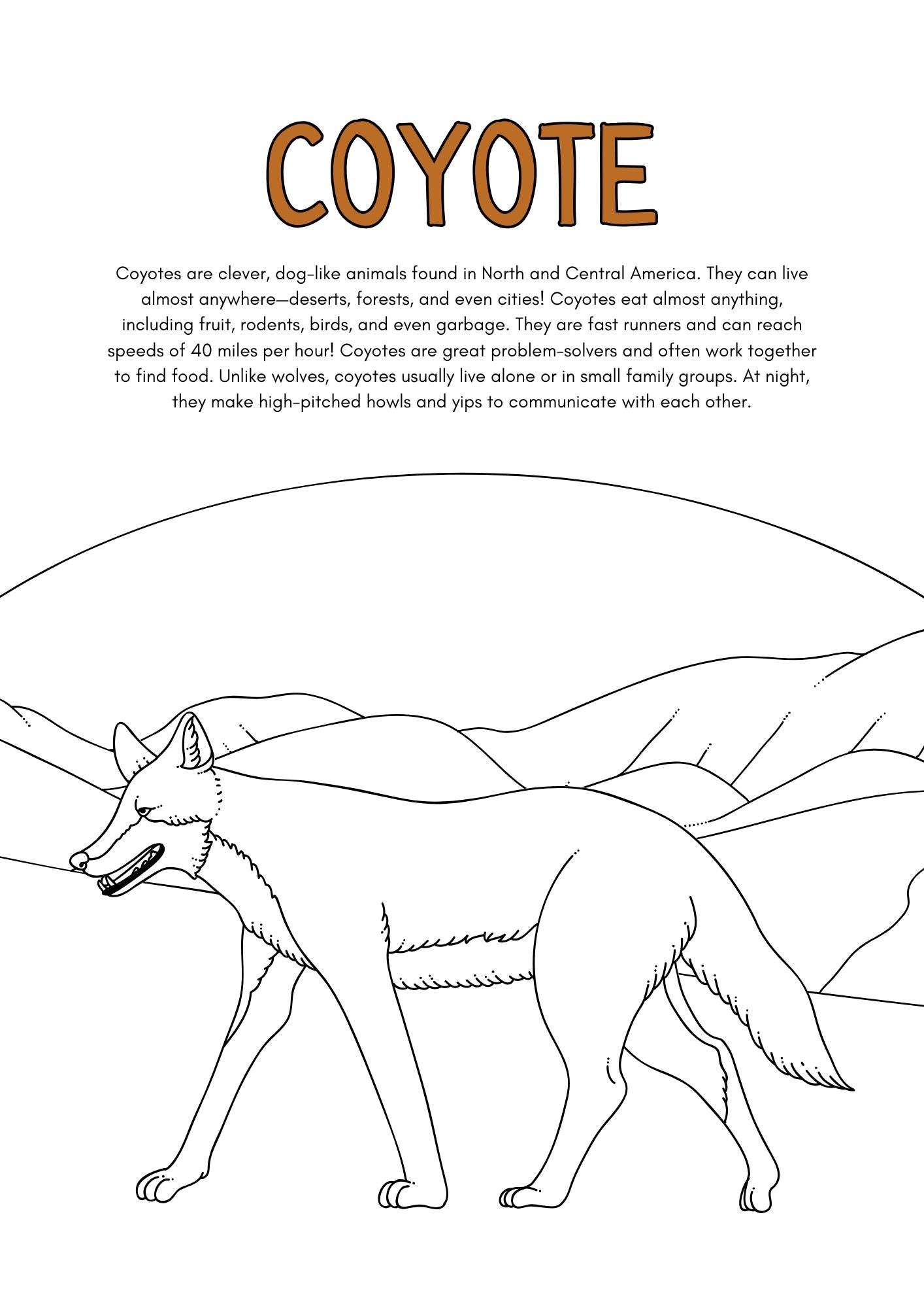 Wild Animals Coloring Pages for Kids