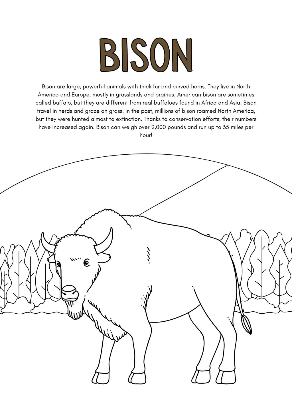 Wild Animals Coloring Pages for Kids