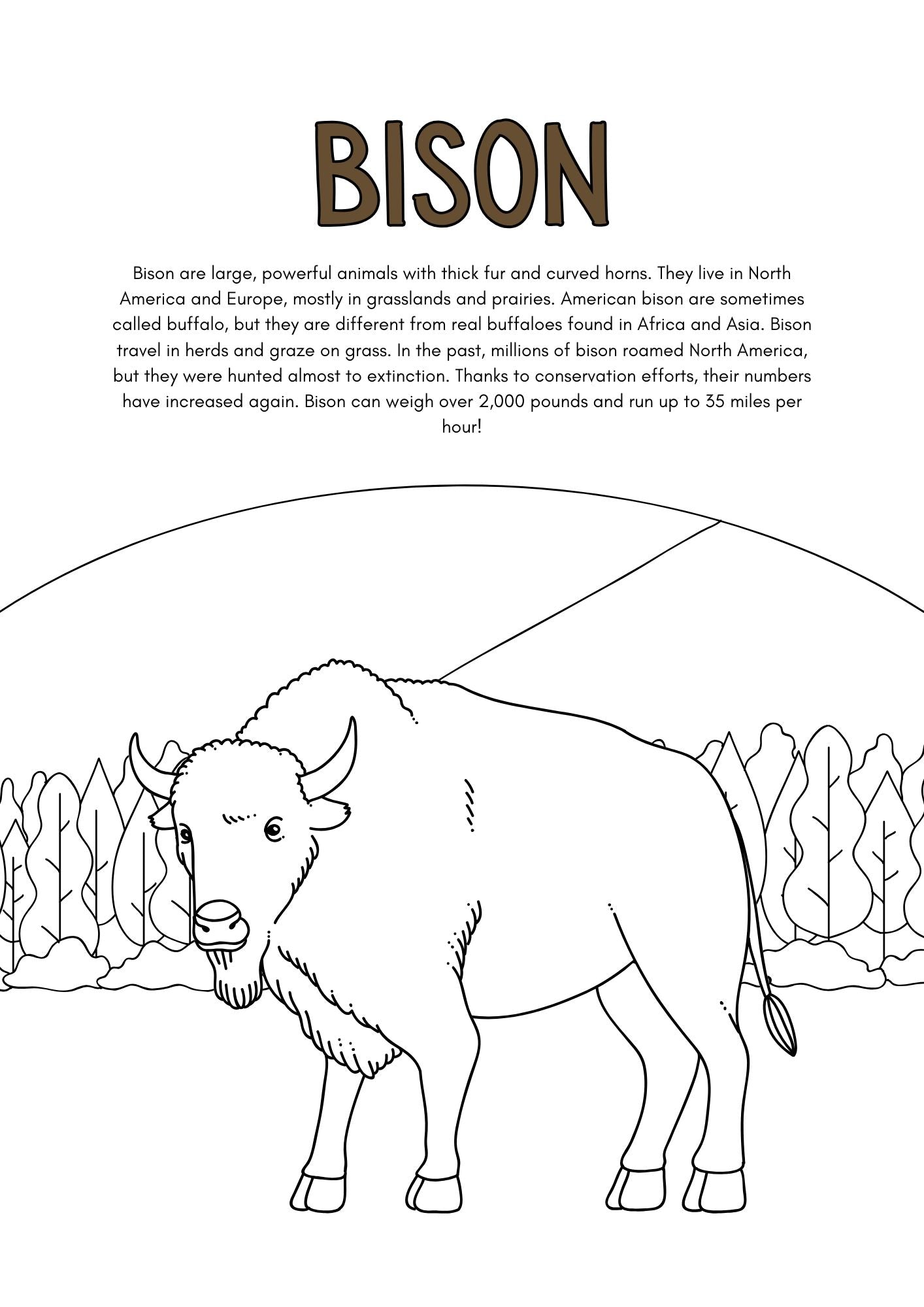 Wild Animals Coloring Pages for Kids