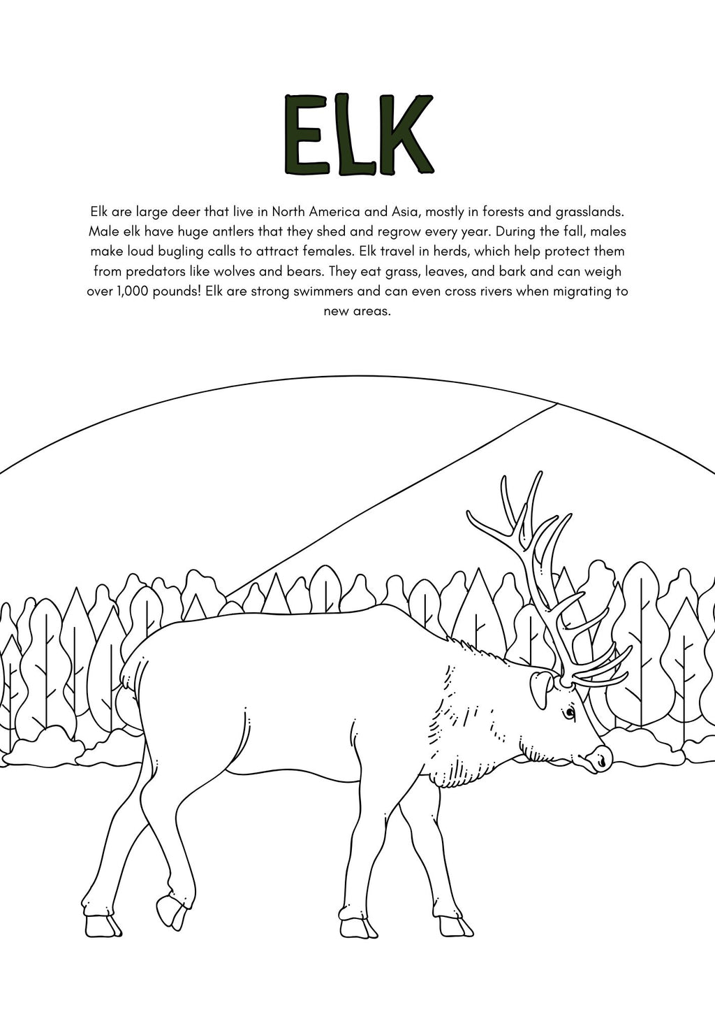 Wild Animals Coloring Pages for Kids