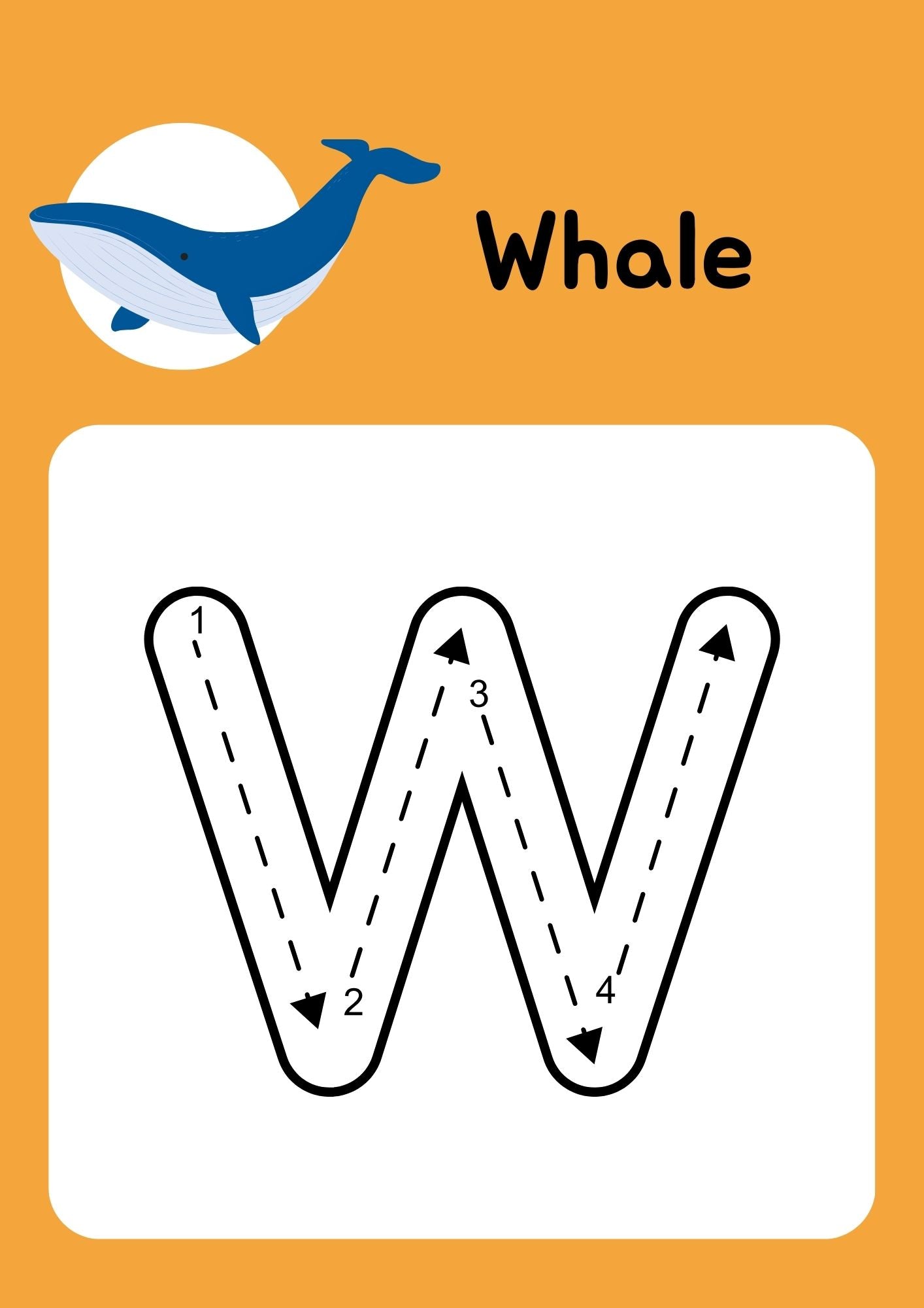 Early Numbers Mastery Workbook