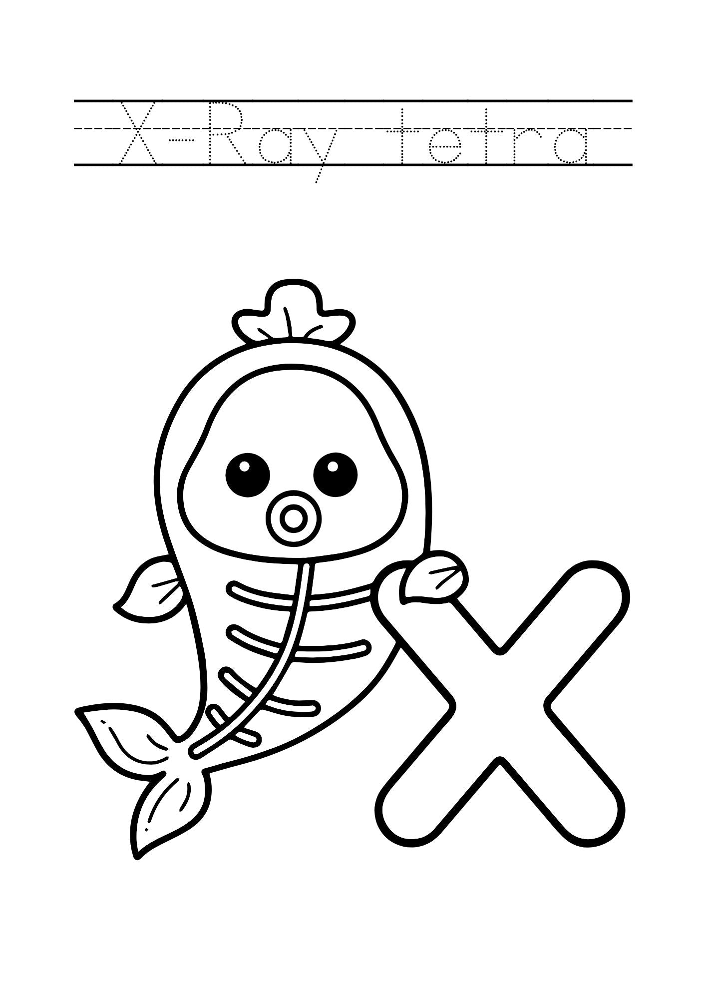 Animal Alphabet Coloring & Tracing Book for Kids