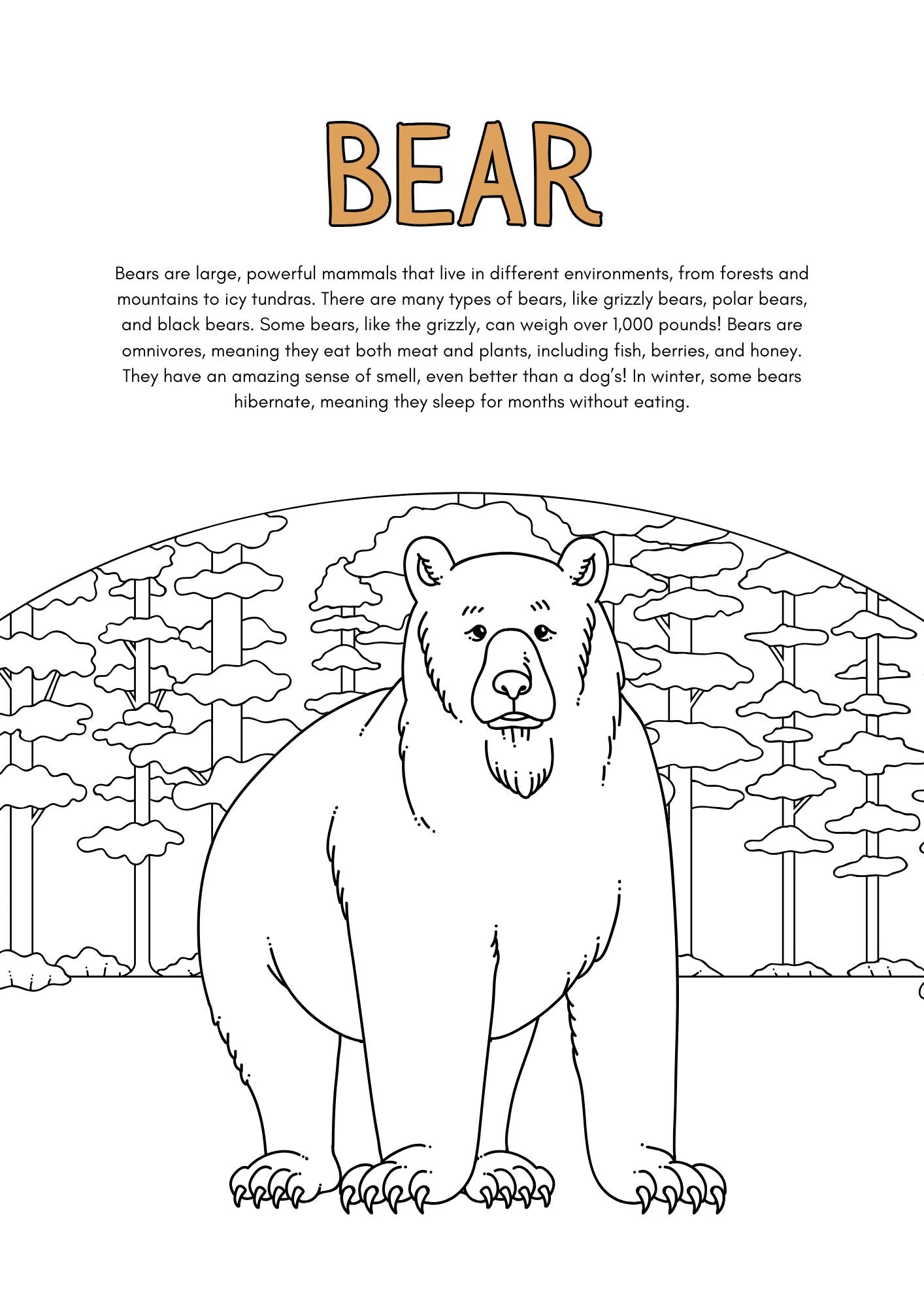 Wild Animals Coloring Pages for Kids