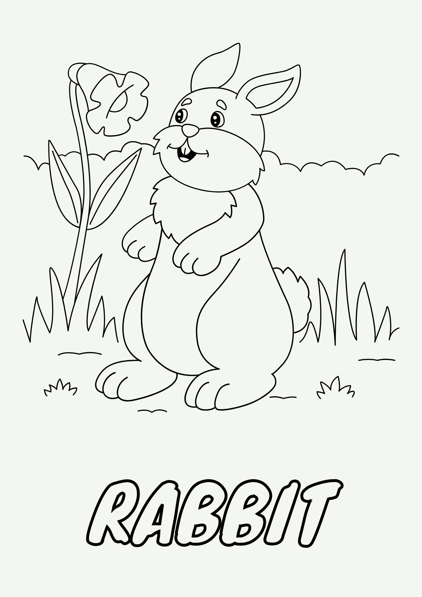 Animal Coloring Book for Kids