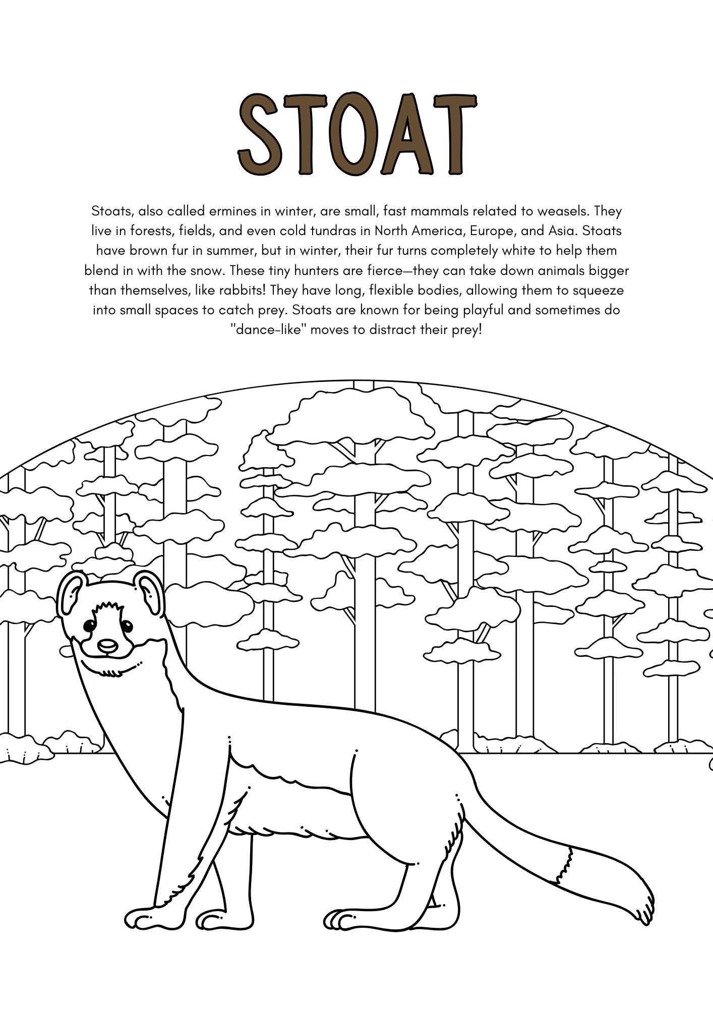 Wild Animals Coloring Pages for Kids