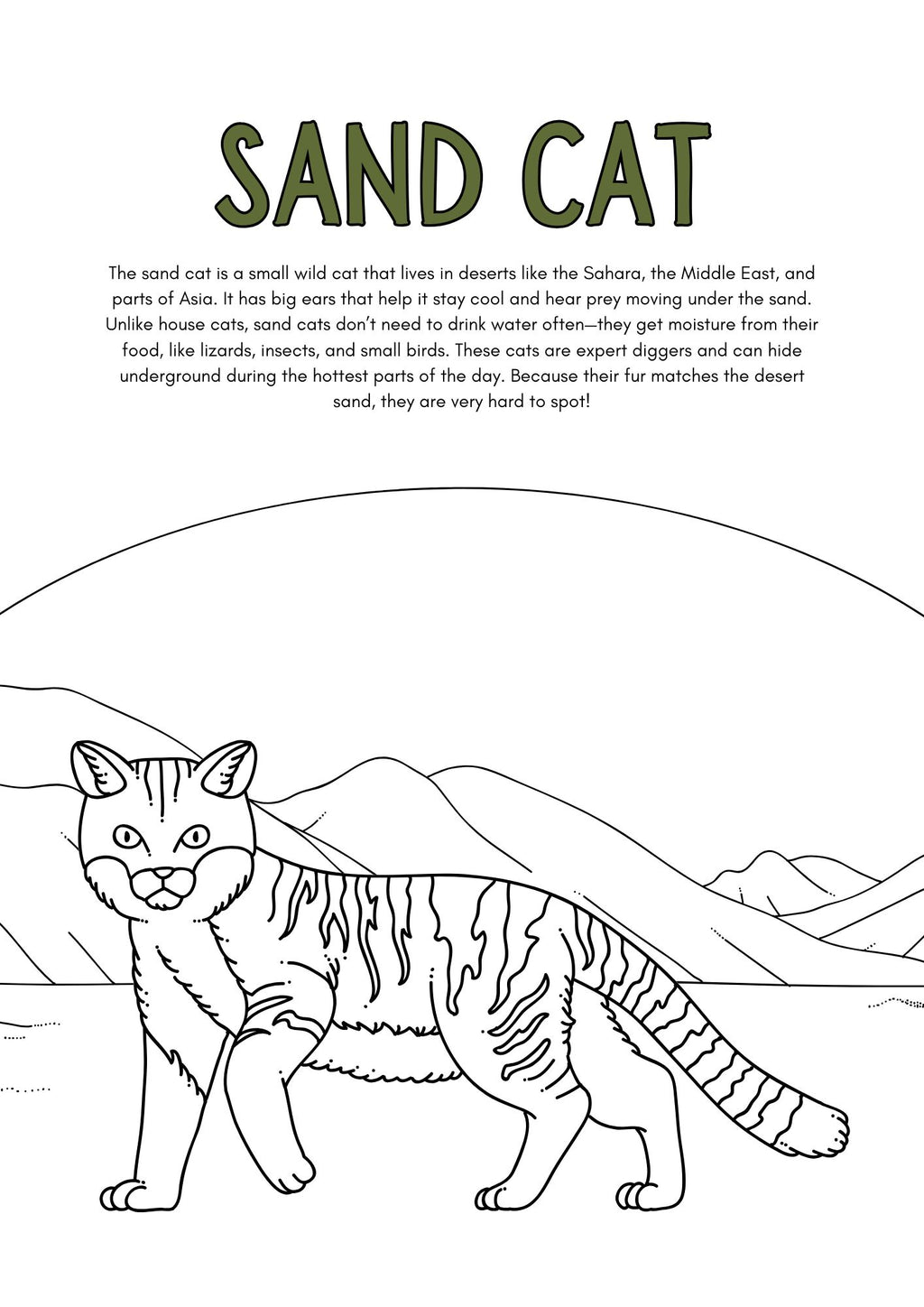 Wild Animals Coloring Pages for Kids
