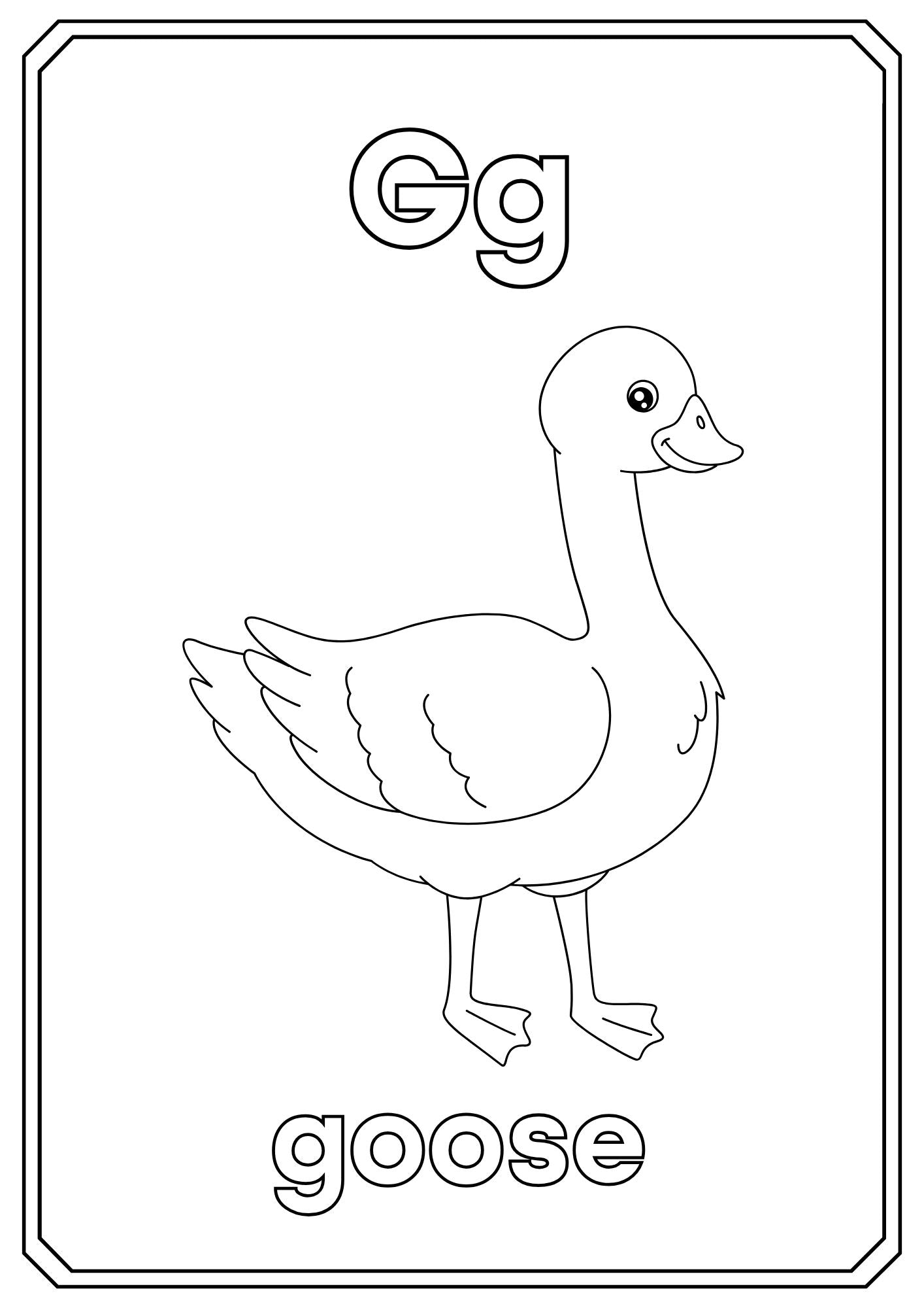 Animal Alphabet Coloring Book – ABC Learning for Kids