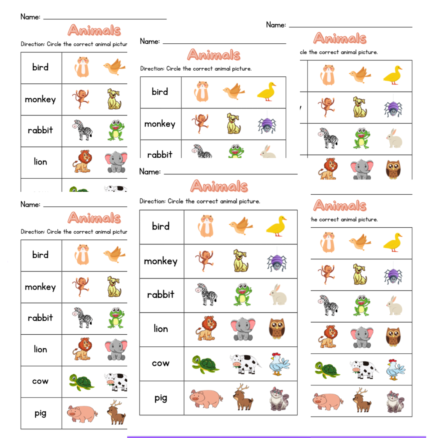 Animals Picture Matching Worksheet – Circle the Correct Animal