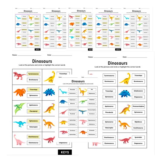 Colorful dinosaur matching worksheet for kids