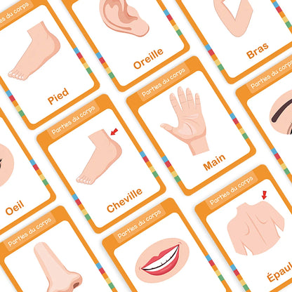 15Pcs Body Parts & Five Senses French Vocabulary Learning Cards for Kids Homeschool Double Side 28 Words Educational Flashcards
