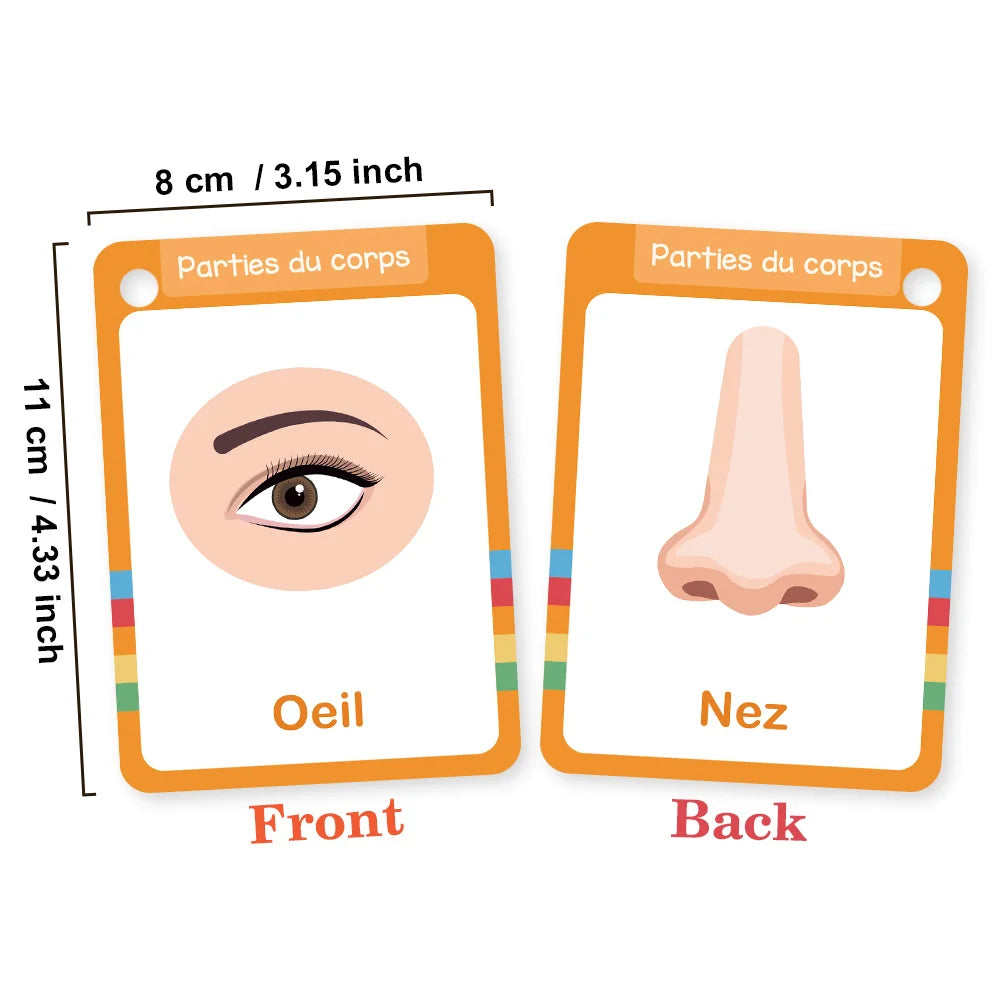15Pcs Body Parts & Five Senses French Vocabulary Learning Cards for Kids Homeschool Double Side 28 Words Educational Flashcards