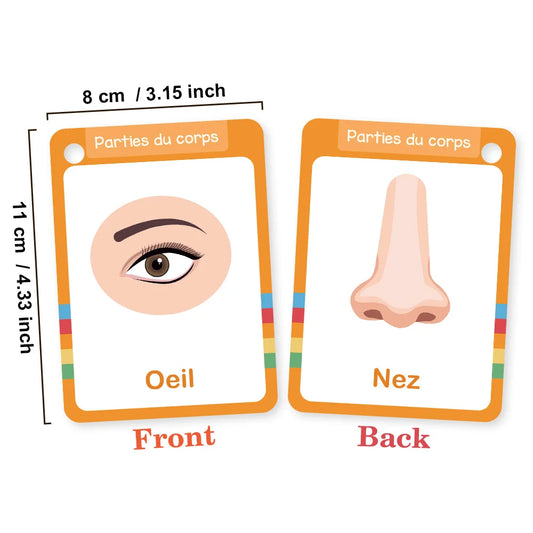 15Pcs Body Parts & Five Senses French Vocabulary Learning Cards for Kids Homeschool Double Side 28 Words Educational Flashcards