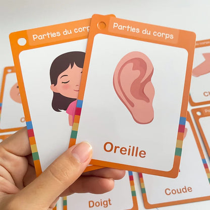 15Pcs Body Parts & Five Senses French Vocabulary Learning Cards for Kids Homeschool Double Side 28 Words Educational Flashcards